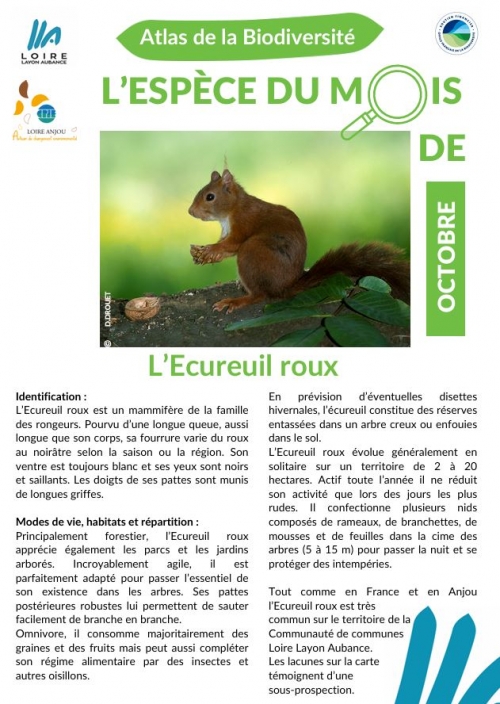 Espèce du mois d'octobre