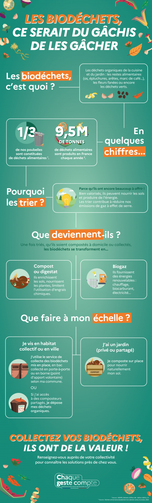 Infographie biodéchets.
