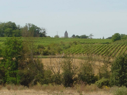 Village viticole